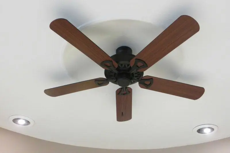 Modern Ceiling Fans That Redefine Comfort and Style in Every Room