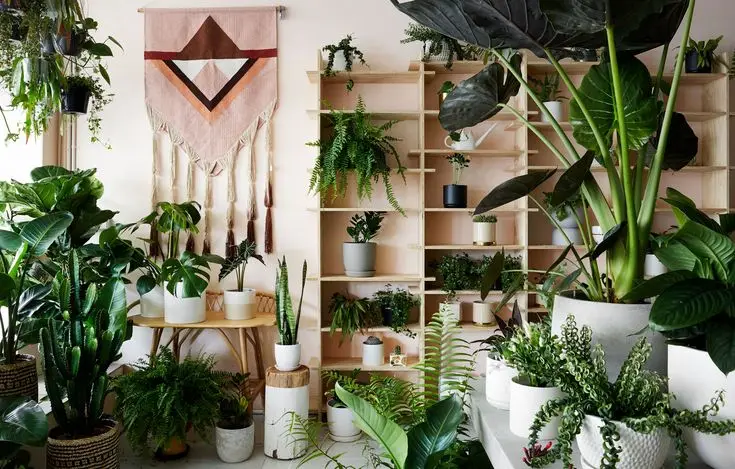 How to Create Your Own Urban Jungle: A Complete Guide