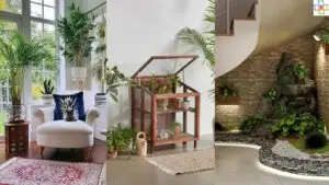 Indoor Garden Ideas showcasing creative home plant setups, including natural light corners, mini greenhouses, and modern indoor landscaping.