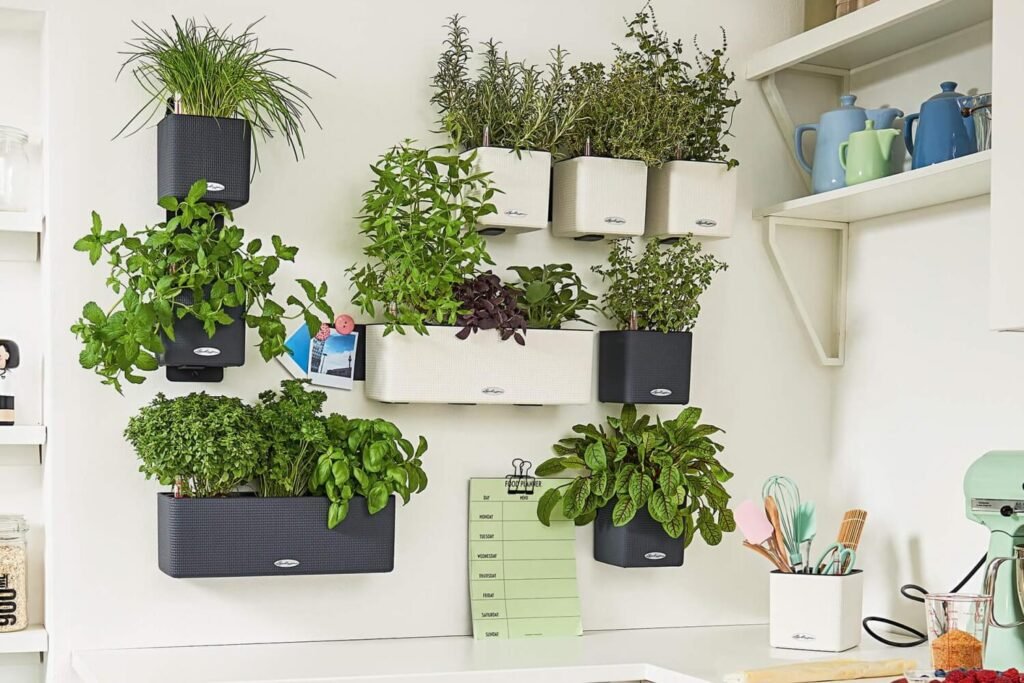 How to Choose the Best Indoor Herb Garden for Your Home